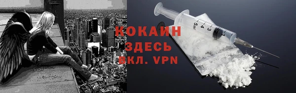шишки Абинск
