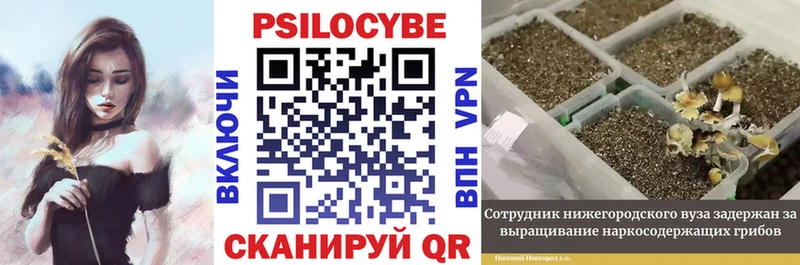 Галлюциногенные грибы мухоморы  Верхоянск 